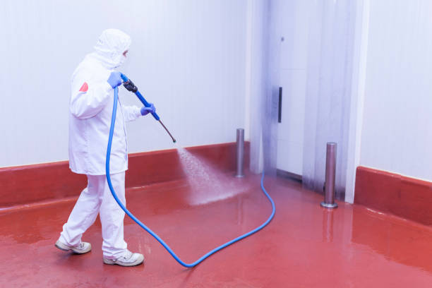 Best Patio and Deck Pressure Washing  in Grayson, CA